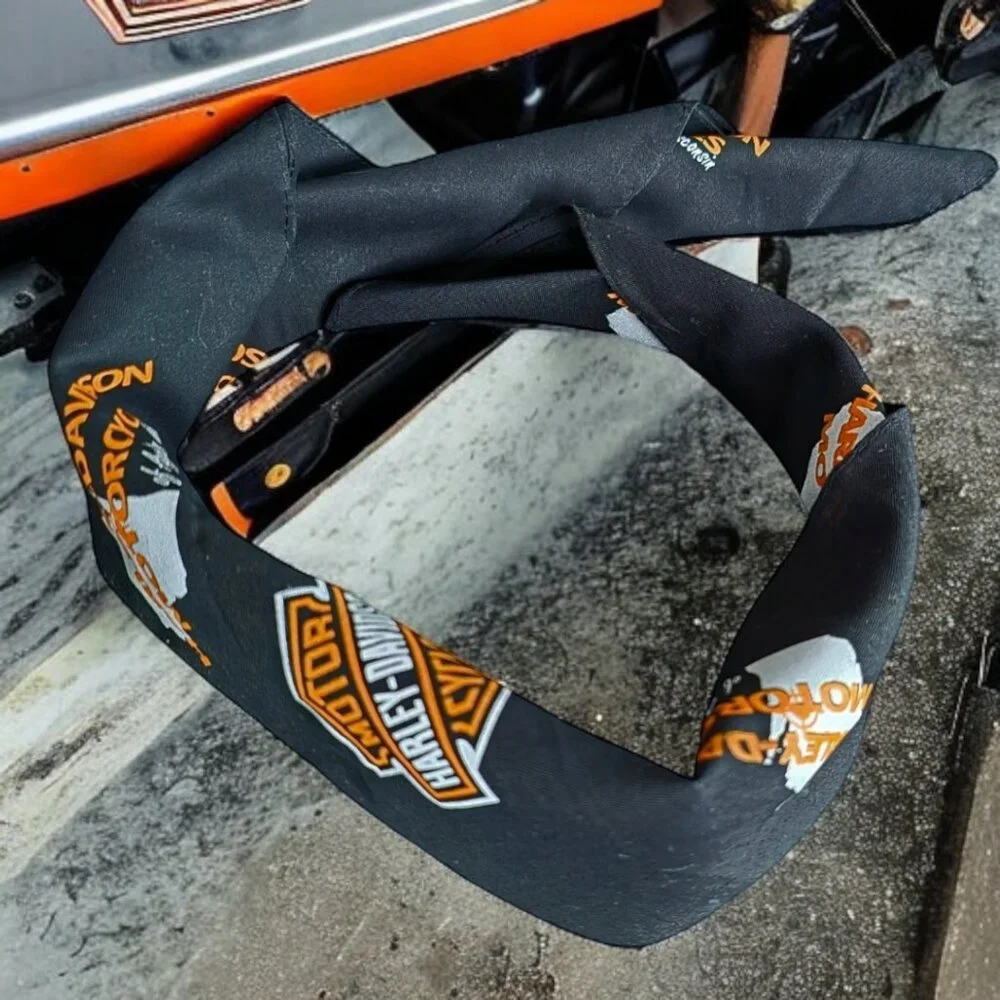 HARLEY DAVIDSON ( 22